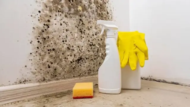 Black mold spots on a wall corner beside a spray bottle, sponge and rubber gloves