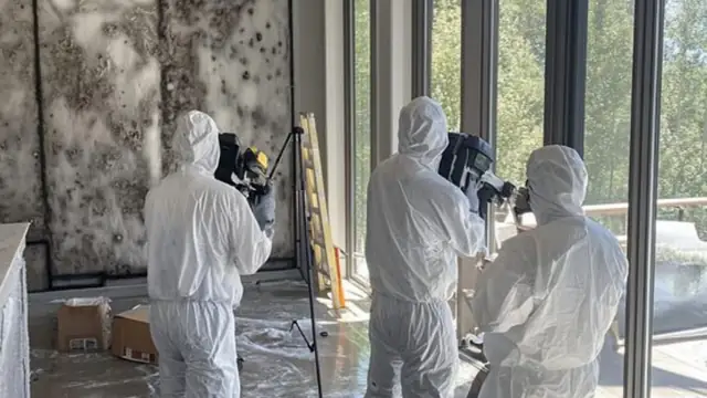 Inspectors in protective suits photographing mold on a wall